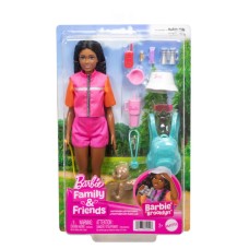 Barbie Family & Friends  Barbie  Brooklyn Doll and Accessories